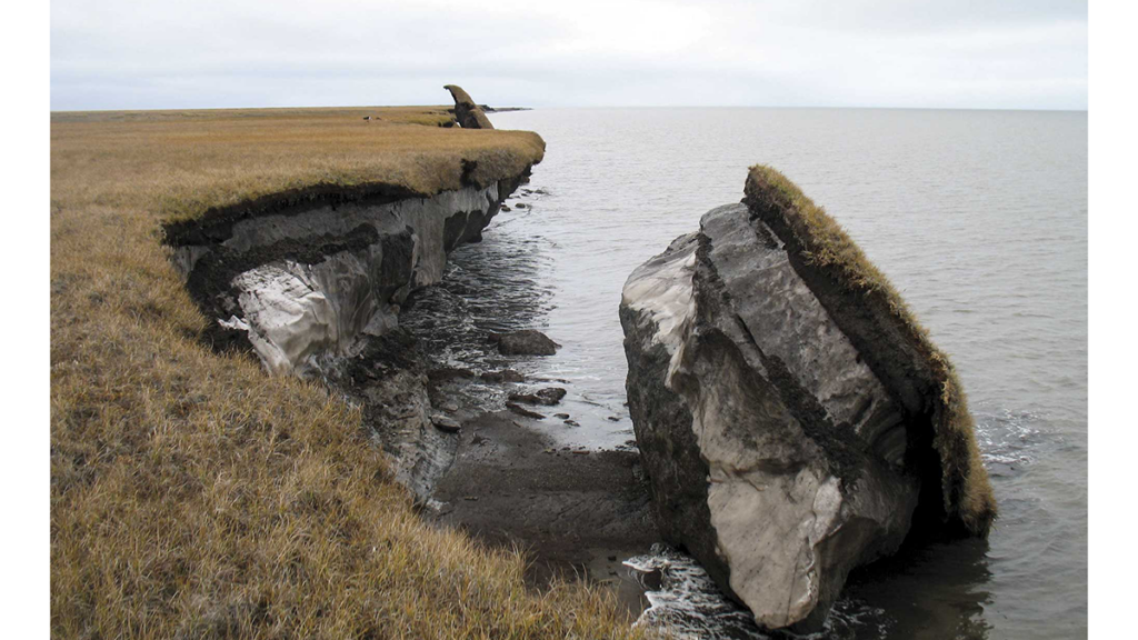 A chunk of coastal permafrost has toppled into the sea along Alaska’s northernmost shores.