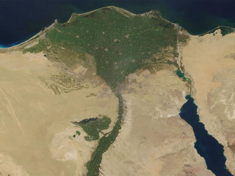 مراقبة تراكم الملوثات من المعادن الثقيلة في دلتا النيل