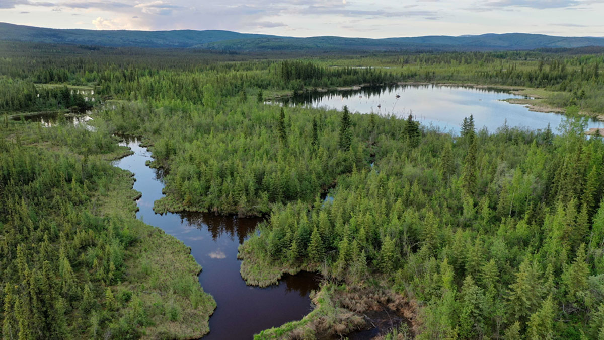 An aerial photograph of a remote, forested lake surrounded by forest.