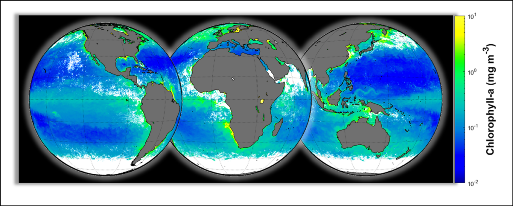 Figure showing composite satellite measurements of chlorophyll concentrations in the surface ocean around the world.