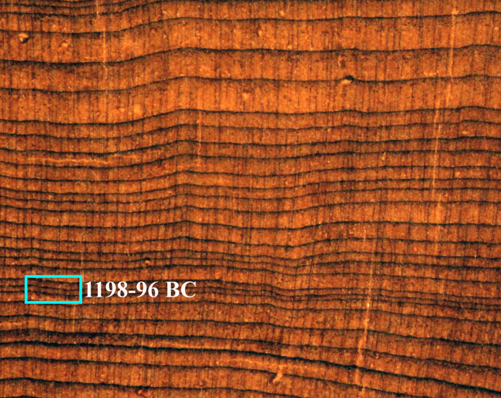 A close-in view of dark and light brown tree rings. A white rectangle labeled “1198-96 BC” highlights three dark layers.