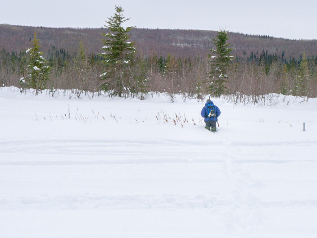 Person walks through deep snow with antenna strapped to back.