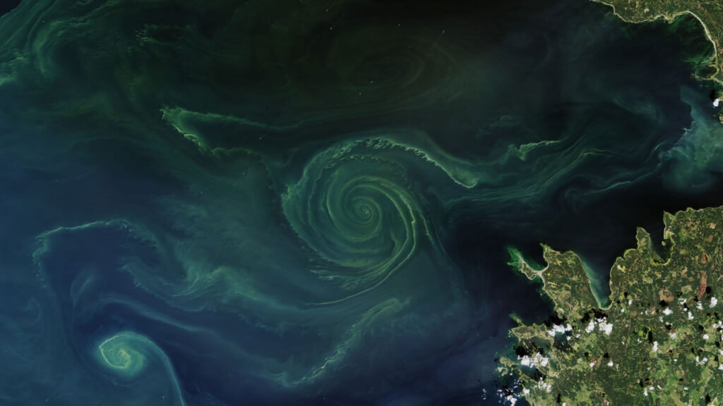 Satellite view of a swirling green bloom of phytoplankton set in the dark blue ocean.