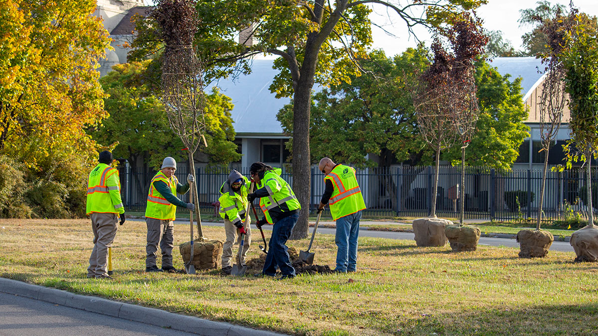 Four workers dressed in neon yellow shirts dig with shovels while another supervises. They work near four unplanted trees, and a small, white building stands in the background.