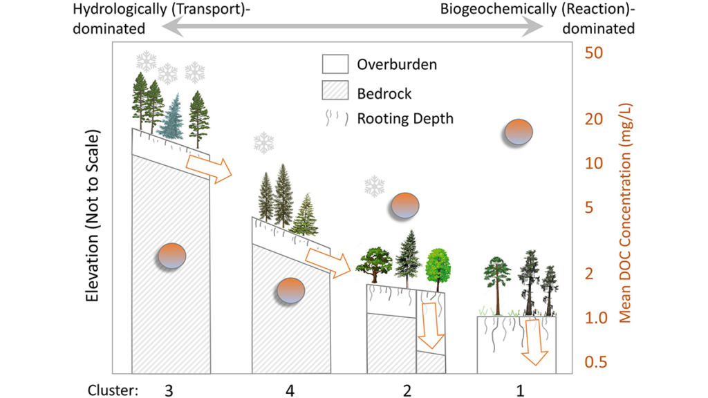 Diagram from the paper.