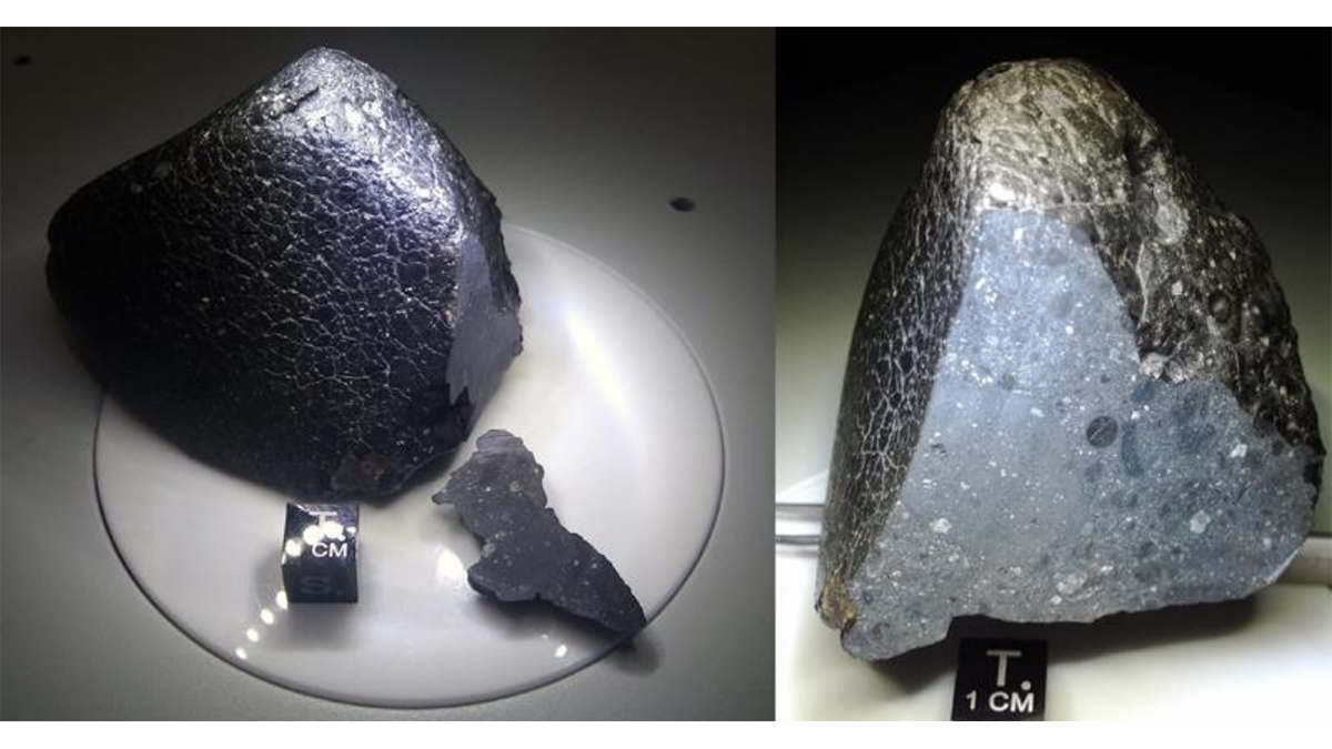 Photos of Martian meteorite NWA 7034.