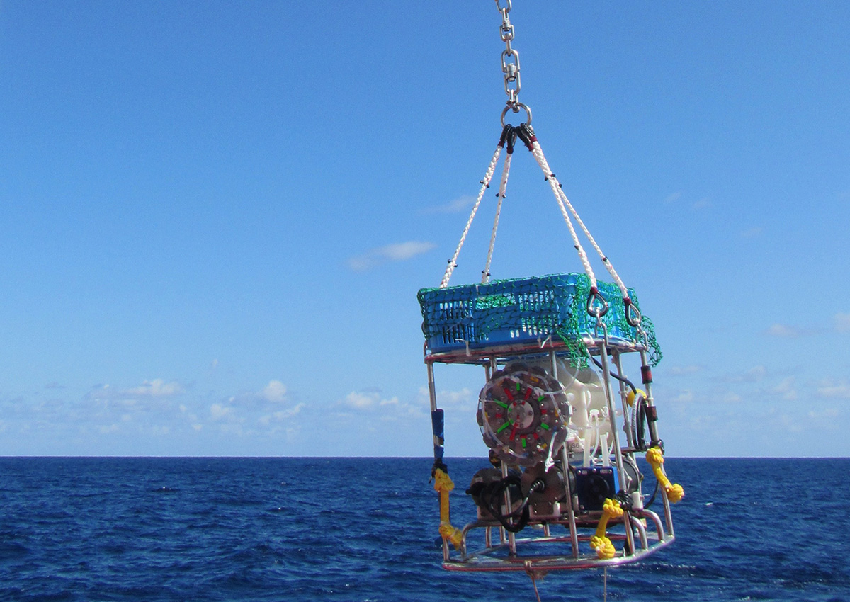 Un instrumento científico desciende al océano desde un buque de investigación.