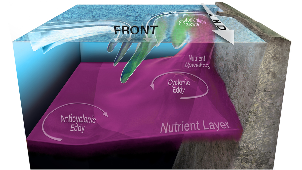 Diagram from the paper.