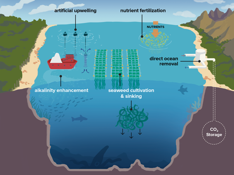 Several proposed marine carbon dioxide removal methods illustrated on a cross section of an ocean