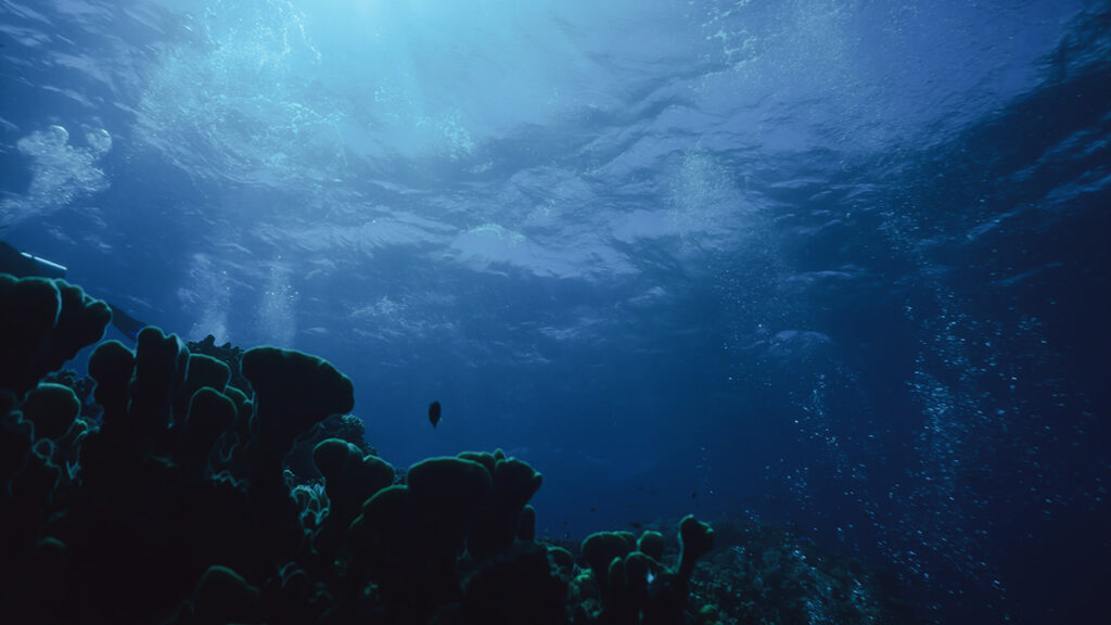 Photo from the ocean floor with rocks looking at an angle toward the surface