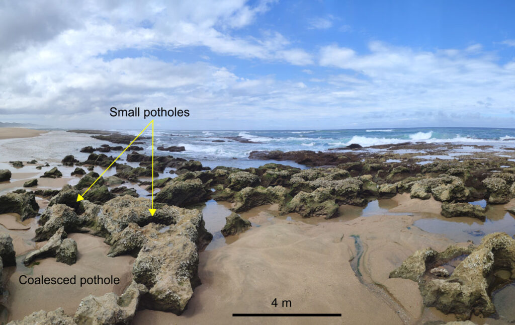 Small potholes form in exposed rock layer on a beach. Text saying “small potholes” points to circular depressions in the rock layer.