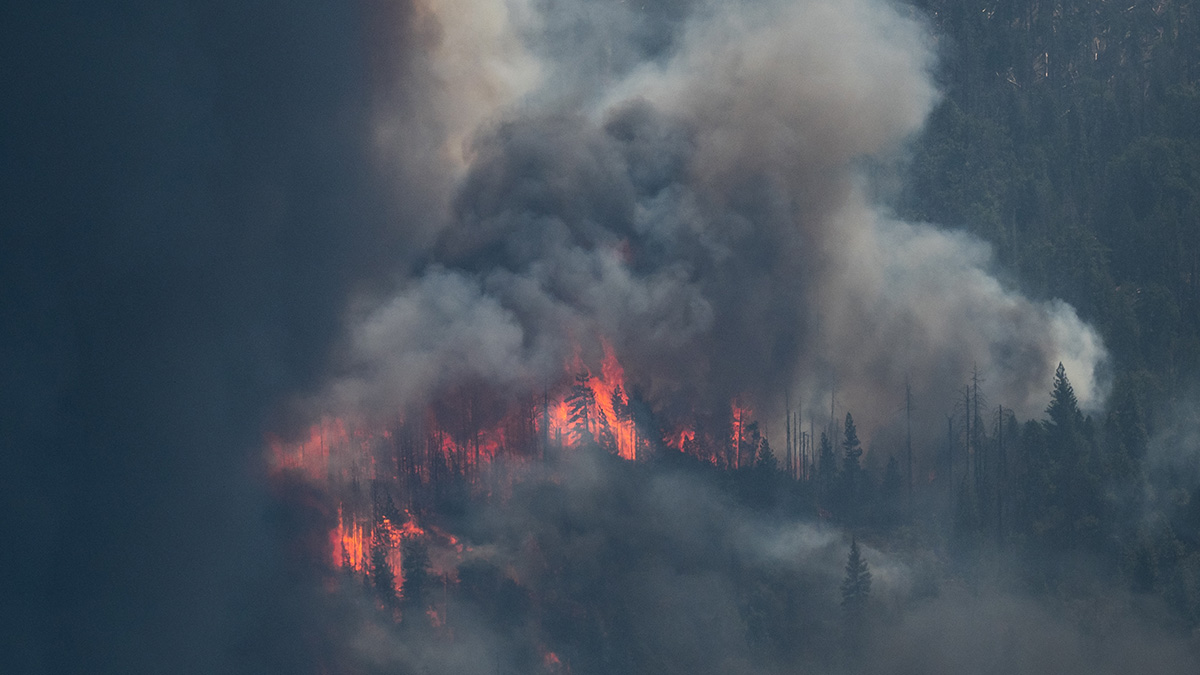 A large plume of dark smoke rises from a forest. Orange flames are visible among the trees.