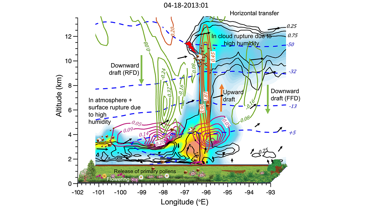 Diagram from the paper.