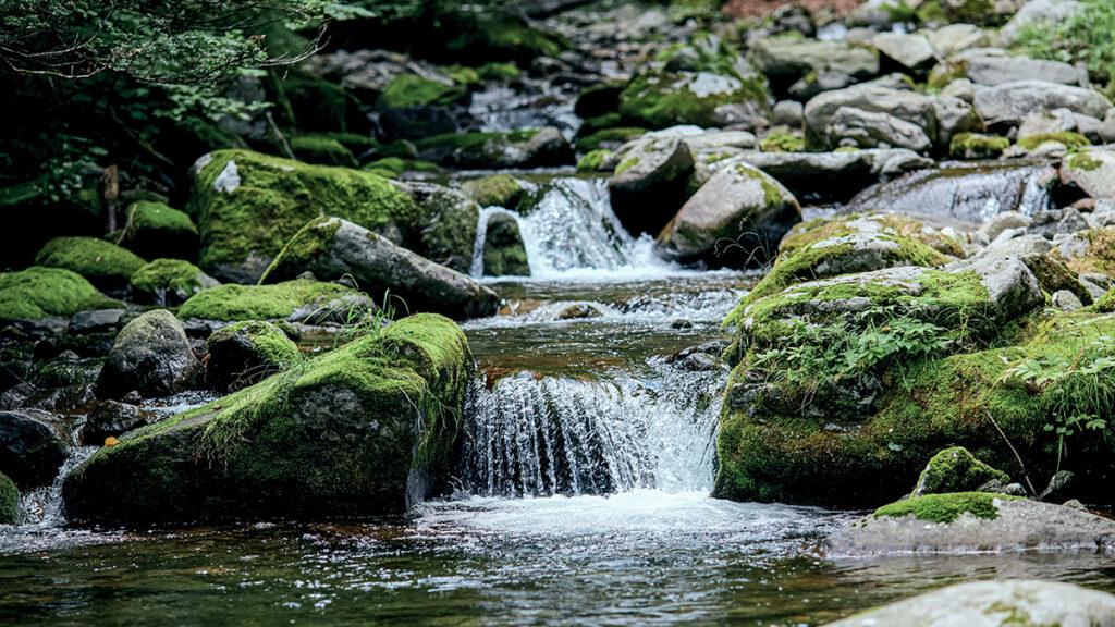 Photo of a water in a river flowing over rocks.