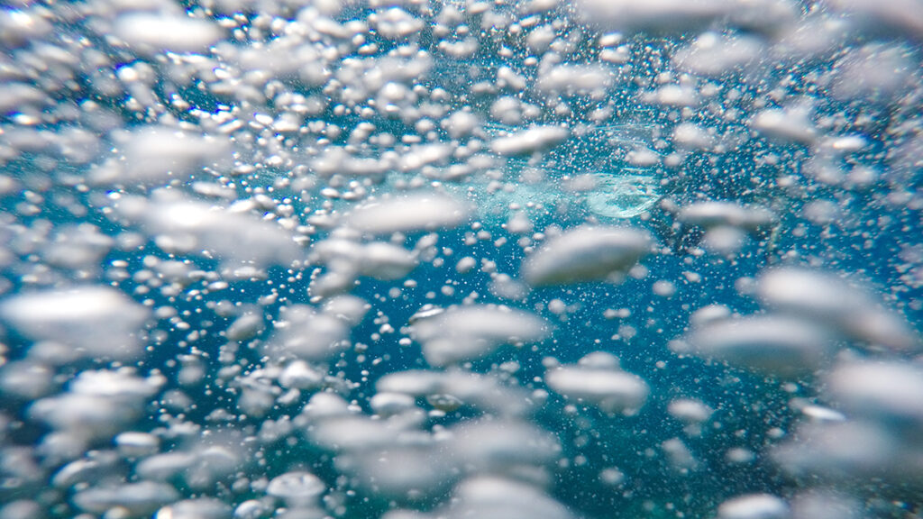 Air bubbles of different sizes rise through water.