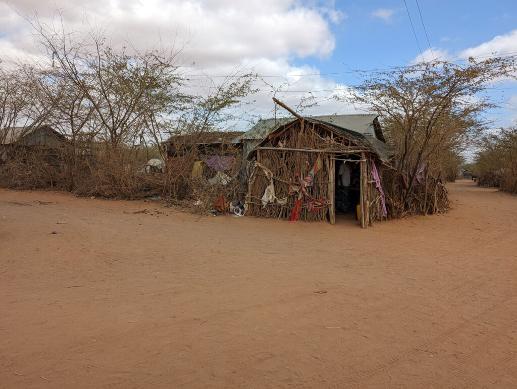 A photo of a shelter made of sticks.