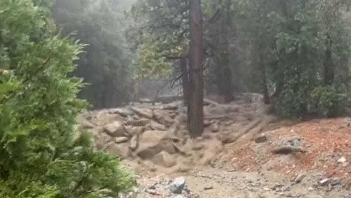 A debris flow triggered by Storm Hilary in Forest Falls, California. Still from a video posted to Twitter.