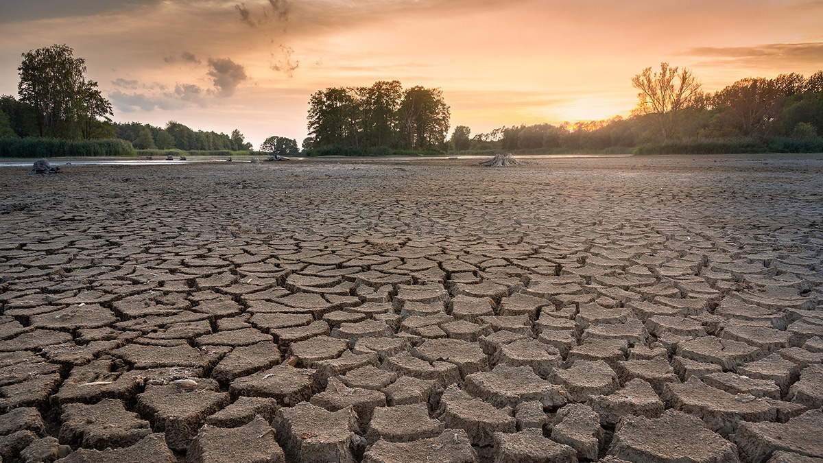 Un suelo con grietas de desecación al frente con árboles agua y un atardecer al fondo.