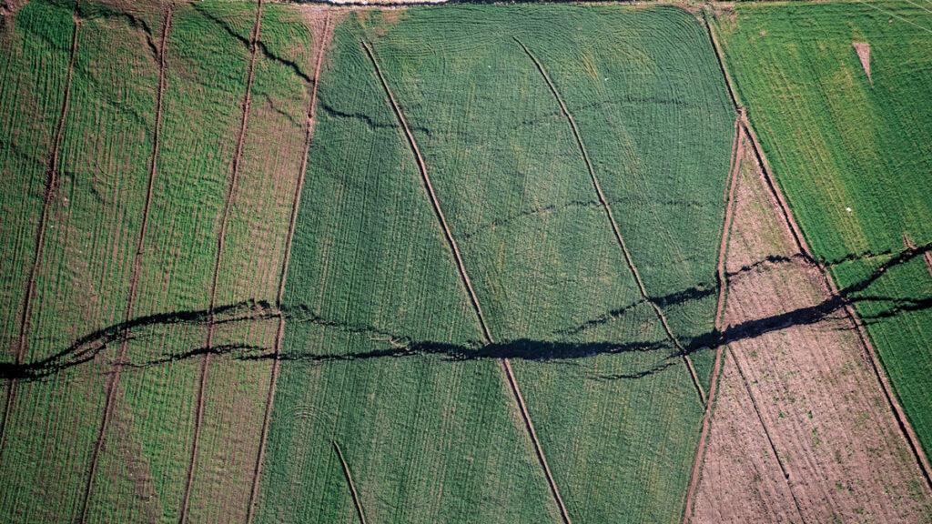 A fault segment offset an agricultural field during the Kahramanmaraş earthquake sequence.