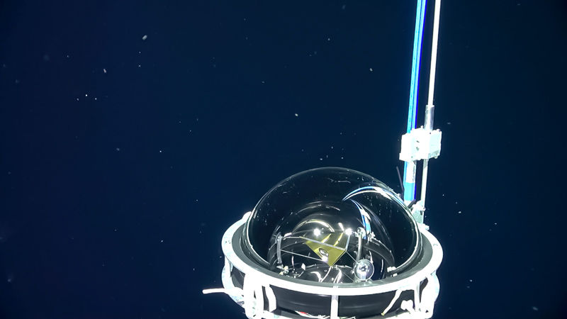 Underwater view of a glass sphere housing a sculpture and attached to a vertical cable