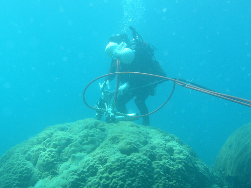 La chimie du corail reflète l’expansion économique d’Asie du Sud-Est