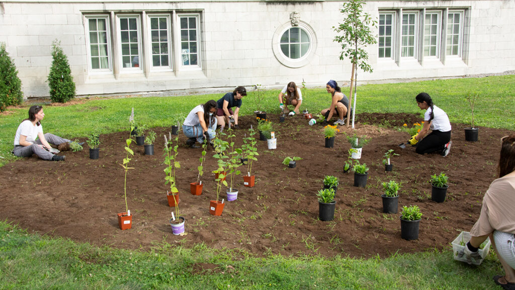 Several people crouch in a circular patch of soil while digging small holes for plants.
