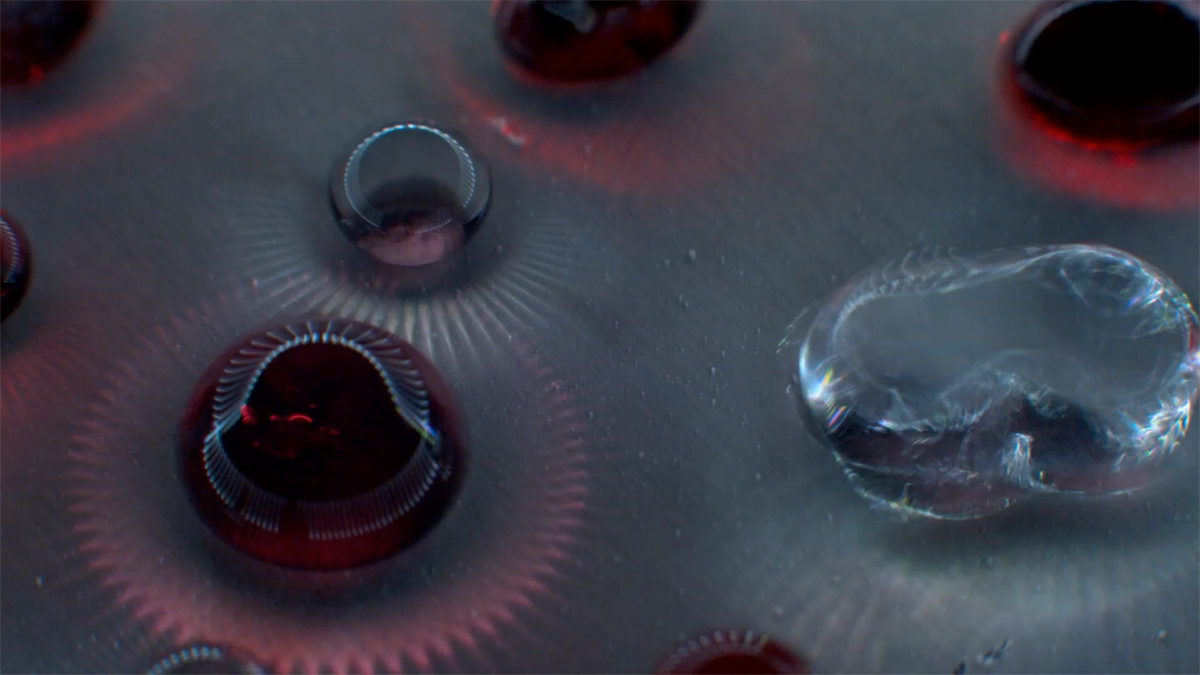 Still photo of a multimedia collaborative work called Water Organoids (2022)