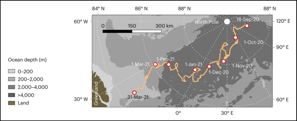 Map showing the drift path of the ice floe with the observatory
