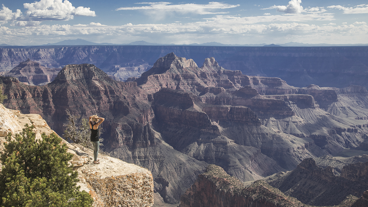 A person stands atop a cliff overlooking a red-walled canyon.