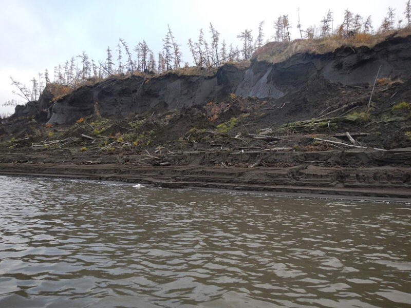 Минимальные свидетельства наличия углерода вечной мерзлоты в реке Колыме в Сибири