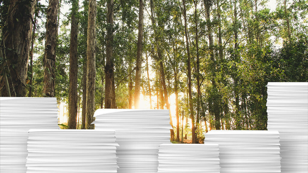 Composite image showing stacks of paper with a forest in the background
