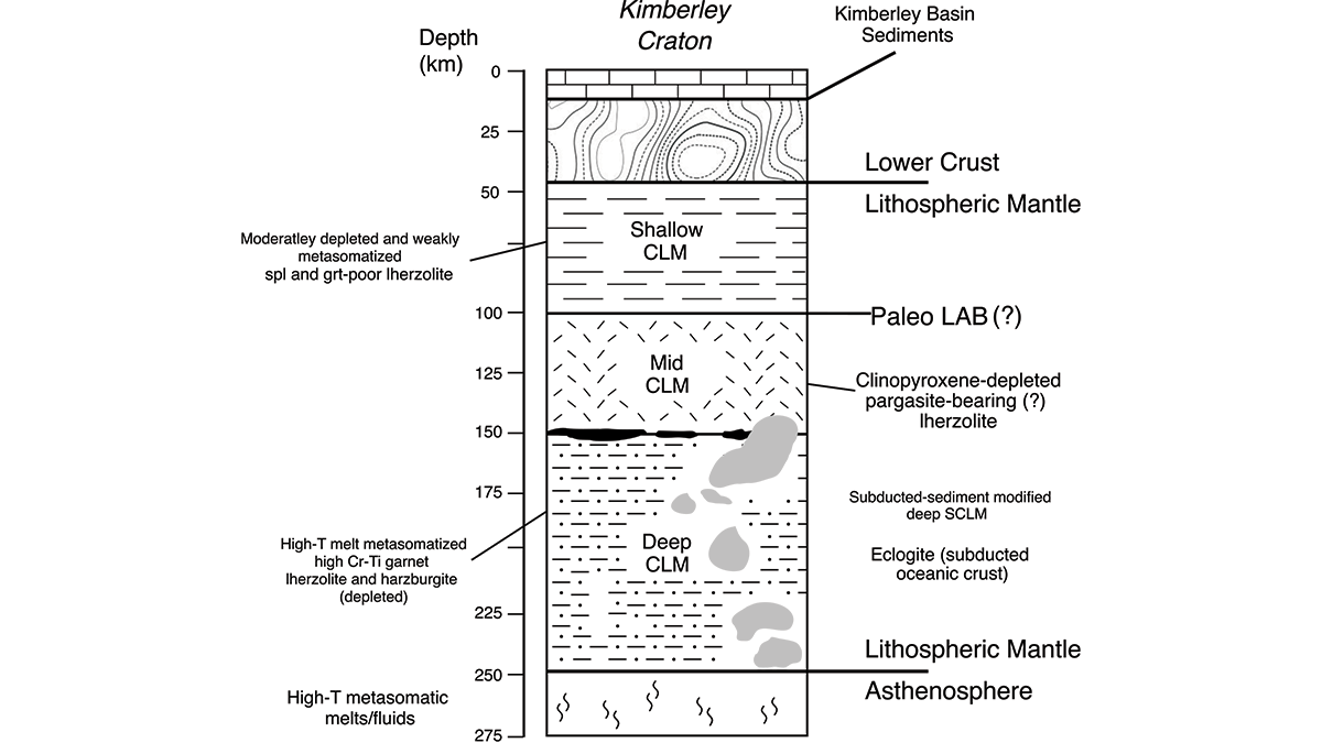 Diagram from the study