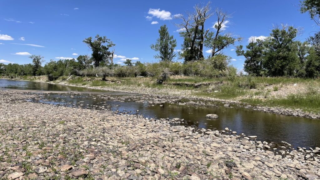 A photo of a stream running through a bed of dried rocks on a clear, sunny day.
