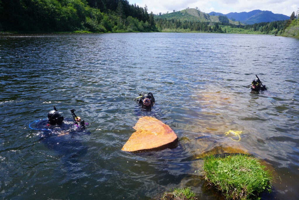 Divers at a lake’s surface next to a slab of wood.