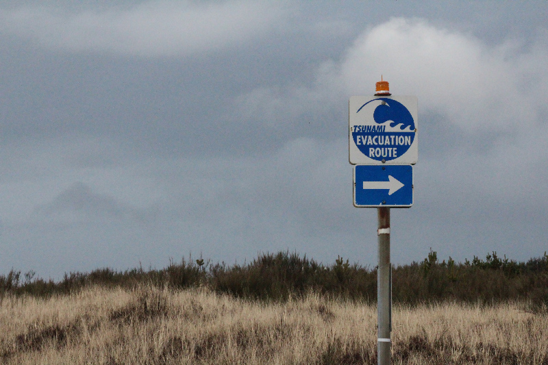 A sign reading “tsunami evacuation route” stands before a background of shrubs and cloudy sky.