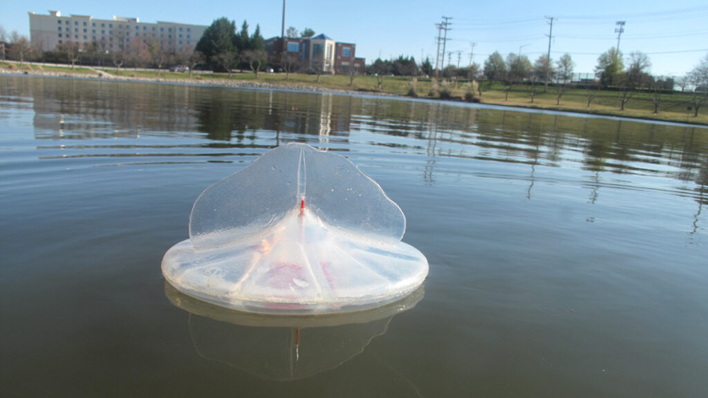 A sail-shaped prototype of an ocean sensor floats in a pond
