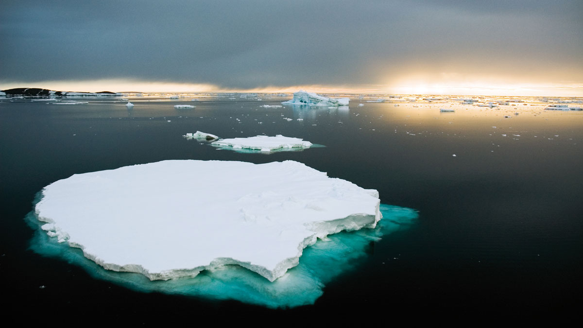 A flat piece of ice floats in the ocean.