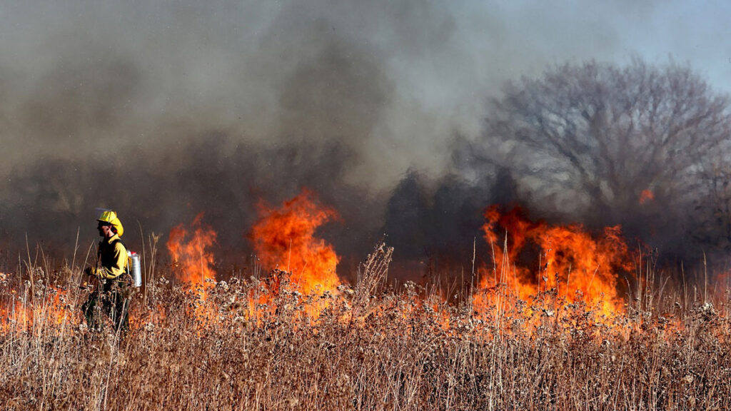 A firefighter stands in front of burning grass and trees.