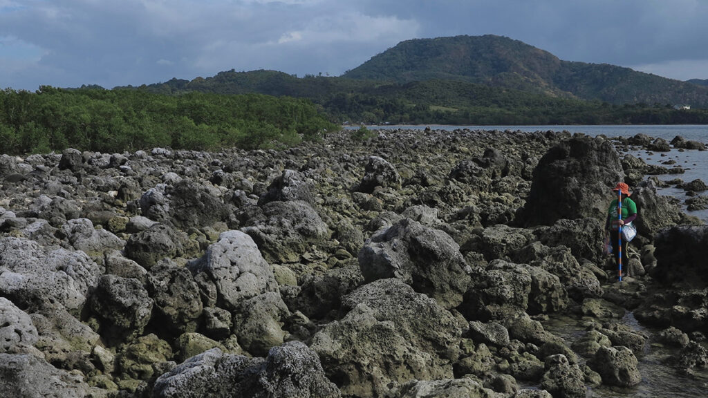 Carbonate gravels up to boulder size (with human scale) are scattered on the seaward side of the island. Mangroves were planted and propagated.