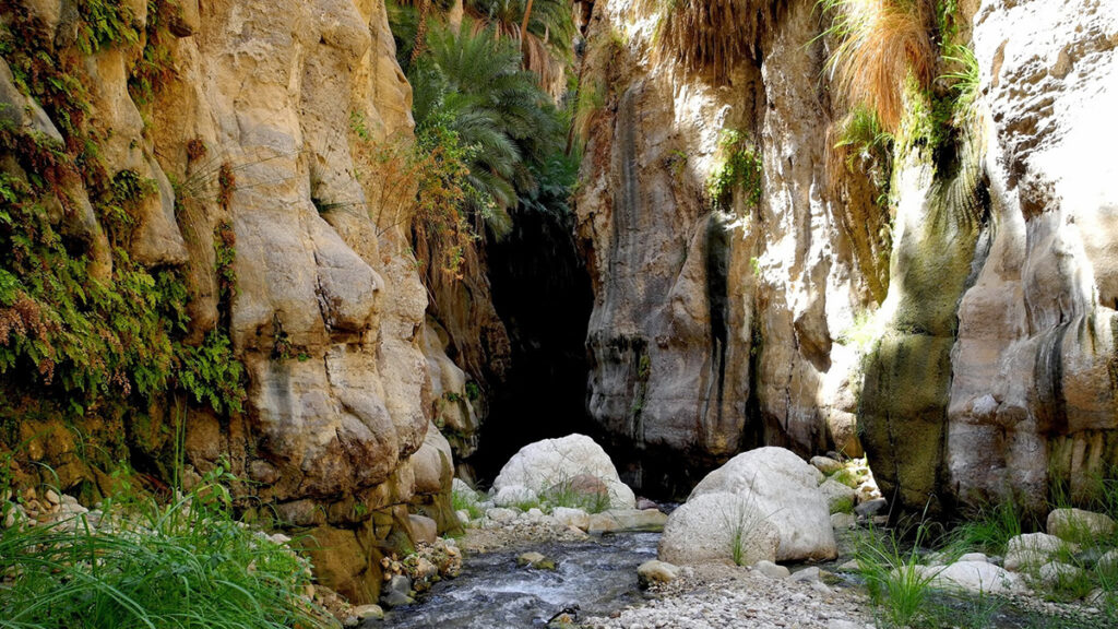 A creek with tufts of grass growing in it winds through a rocky landscape