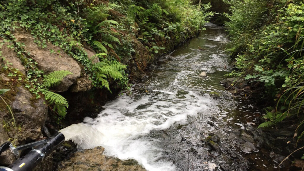 A pipe brings water into a stream.