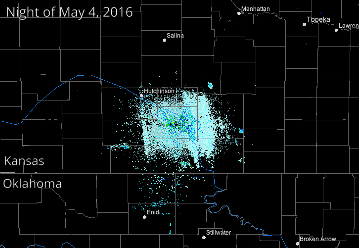 A short video shows intense bursts of color around a Doppler radar station, demonstrating a large number of migrating birds.