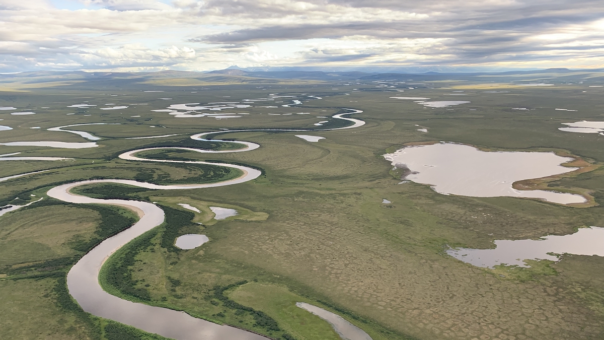 A green tundra with patches of snow