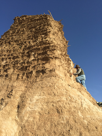 A researcher climbs the base of a constructed tower, built from alternating layers of reeds and rocks.