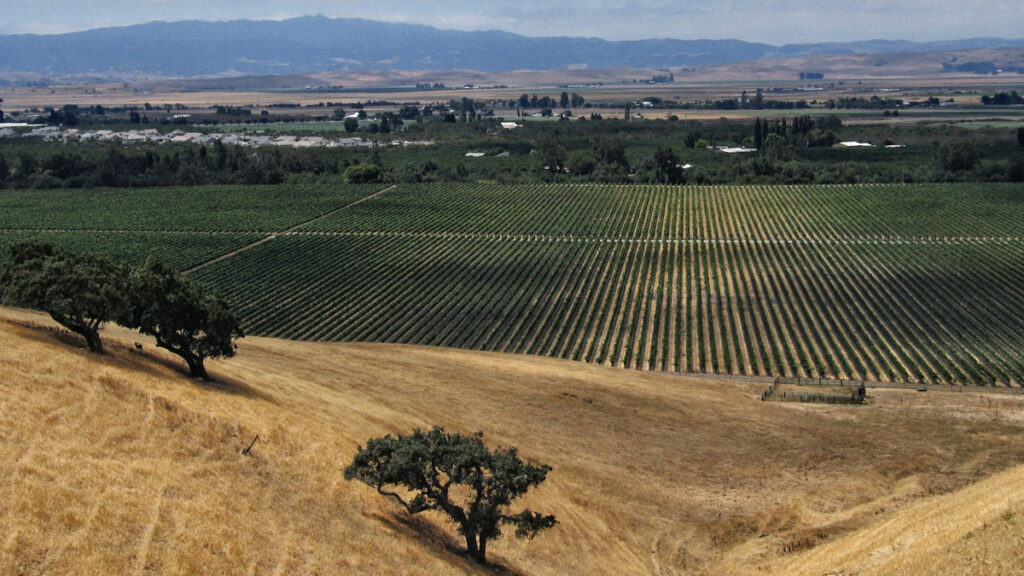 Shown in the foreground is a mostly barren hillside with three trees. In the distance is an agricultural field.