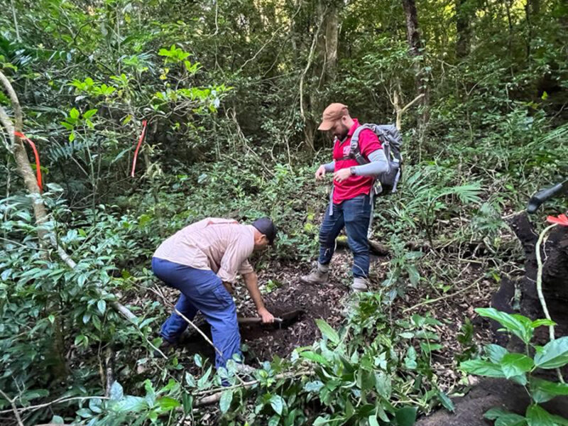 Costa Rican Faults Quiver in Response to Distant Earthquakes
