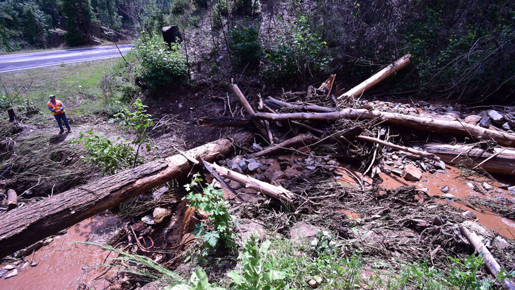 A researcher at street level looks uphill at downed trees and other debris from a debris flow.