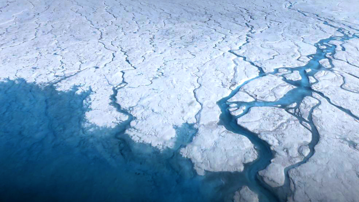An expanse of textured white ice covered with narrow blue streams of water. At the right of the photo are wider branches; the ice in the left lower quadrant is covered by blue water, though its texture is still visible.