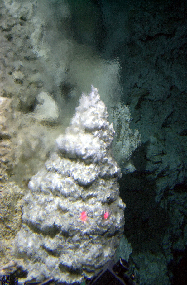 Close-up view of shimmering water, indicating a flow of warm hydrothermal fluids in cold seawater, rising from a small, pine tree–shaped white rock feature