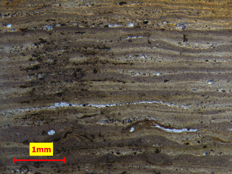Microscopic layers of sediment seen under a microscope
